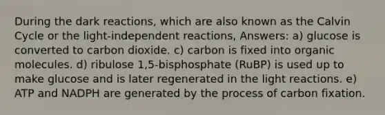 During the dark reactions, which are also known as the Calvin Cycle or the light-independent reactions, Answers: a) glucose is converted to carbon dioxide. c) carbon is fixed into organic molecules. d) ribulose 1,5-bisphosphate (RuBP) is used up to make glucose and is later regenerated in the light reactions. e) ATP and NADPH are generated by the process of carbon fixation.