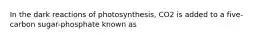 In the dark reactions of photosynthesis, CO2 is added to a five-carbon sugar-phosphate known as