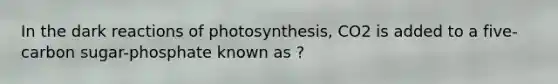 In the dark reactions of photosynthesis, CO2 is added to a five-carbon sugar-phosphate known as ?