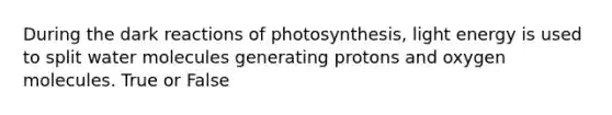 During the dark reactions of photosynthesis, light energy is used to split water molecules generating protons and oxygen molecules. True or False