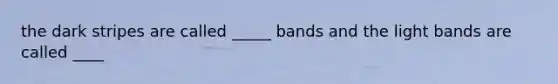 the dark stripes are called _____ bands and the light bands are called ____