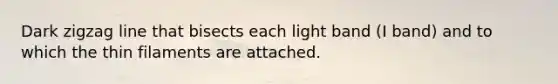 Dark zigzag line that bisects each light band (I band) and to which the thin filaments are attached.