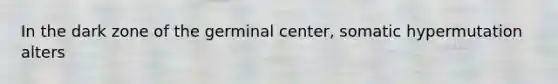 In the dark zone of the germinal center, somatic hypermutation alters