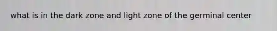 what is in the dark zone and light zone of the germinal center