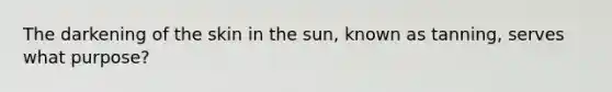 The darkening of the skin in the sun, known as tanning, serves what purpose?