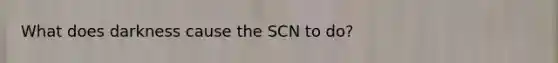 What does darkness cause the SCN to do?