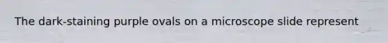 The dark-staining purple ovals on a microscope slide represent