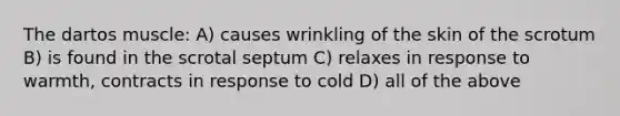 The dartos muscle: A) causes wrinkling of the skin of the scrotum B) is found in the scrotal septum C) relaxes in response to warmth, contracts in response to cold D) all of the above