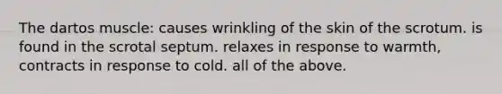 The dartos muscle: causes wrinkling of the skin of the scrotum. is found in the scrotal septum. relaxes in response to warmth, contracts in response to cold. all of the above.