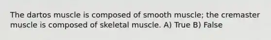 The dartos muscle is composed of smooth muscle; the cremaster muscle is composed of skeletal muscle. A) True B) False