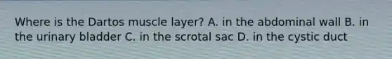 Where is the Dartos muscle layer? A. in the abdominal wall B. in the urinary bladder C. in the scrotal sac D. in the cystic duct