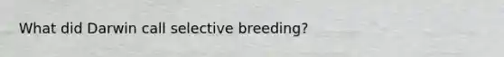 What did Darwin call selective breeding?