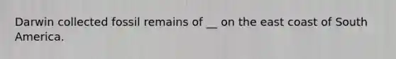 Darwin collected fossil remains of __ on the east coast of South America.