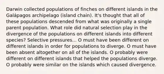 Darwin collected populations of finches on different islands in the Galápagos archipelago (island chain). It's thought that all of these populations descended from what was originally a single parent population. What role did natural selection play in the divergence of the populations on different islands into different species? Selective pressures... O must have been different on different islands in order for populations to diverge. O must have been absent altogether on all of the islands. O probably were different on different islands that helped the populations diverge. O probably were similar on the islands which caused divergence.