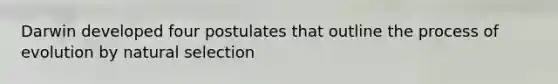 Darwin developed four postulates that outline the process of evolution by natural selection