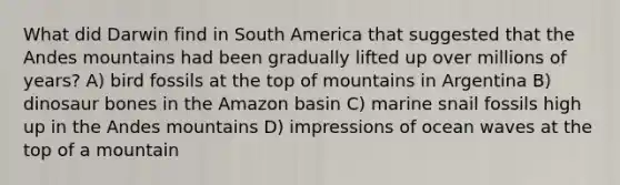 What did Darwin find in South America that suggested that the Andes mountains had been gradually lifted up over millions of years? A) bird fossils at the top of mountains in Argentina B) dinosaur bones in the Amazon basin C) marine snail fossils high up in the Andes mountains D) impressions of ocean waves at the top of a mountain