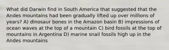 What did Darwin find in South America that suggested that the Andes mountains had been gradually lifted up over millions of years? A) dinosaur bones in the Amazon basin B) impressions of ocean waves at the top of a mountain C) bird fossils at the top of mountains in Argentina D) marine snail fossils high up in the Andes mountains