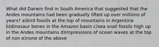 What did Darwin find in South America that suggested that the Andes mountains had been gradually lifted up over millions of years? a)bird fossils at the top of mountains in Argentina b)dinosaur bones in the Amazon basin c)sea snail fossils high up in the Andes mountains d)impressions of ocean waves at the top of non e)none of the above