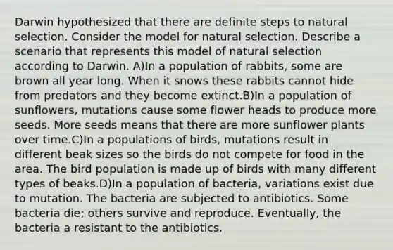 Darwin hypothesized that there are definite steps to natural selection. Consider the model for natural selection. Describe a scenario that represents this model of natural selection according to Darwin. A)In a population of rabbits, some are brown all year long. When it snows these rabbits cannot hide from predators and they become extinct.B)In a population of sunflowers, mutations cause some flower heads to produce more seeds. More seeds means that there are more sunflower plants over time.C)In a populations of birds, mutations result in different beak sizes so the birds do not compete for food in the area. The bird population is made up of birds with many different types of beaks.D)In a population of bacteria, variations exist due to mutation. The bacteria are subjected to antibiotics. Some bacteria die; others survive and reproduce. Eventually, the bacteria a resistant to the antibiotics.