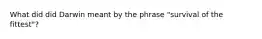 What did did Darwin meant by the phrase "survival of the fittest"?