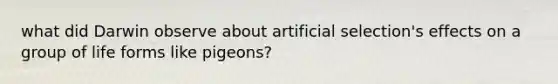 what did Darwin observe about artificial selection's effects on a group of life forms like pigeons?