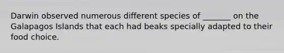 Darwin observed numerous different species of _______ on the Galapagos Islands that each had beaks specially adapted to their food choice.