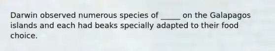 Darwin observed numerous species of _____ on the Galapagos islands and each had beaks specially adapted to their food choice.