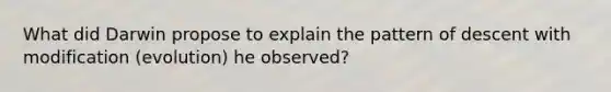 What did Darwin propose to explain the pattern of descent with modification (evolution) he observed?