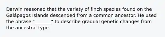 Darwin reasoned that the variety of finch species found on the Galápagos Islands descended from a common ancestor. He used the phrase "_______" to describe gradual genetic changes from the ancestral type.