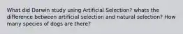 What did Darwin study using Artificial Selection? whats the difference between artificial selection and natural selection? How many species of dogs are there?