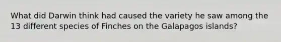 What did Darwin think had caused the variety he saw among the 13 different species of Finches on the Galapagos islands?