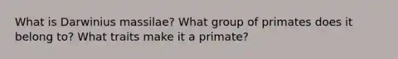 What is Darwinius massilae? What group of primates does it belong to? What traits make it a primate?