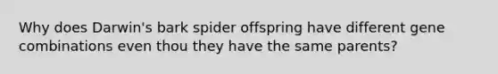 Why does Darwin's bark spider offspring have different gene combinations even thou they have the same parents?