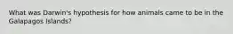 What was Darwin's hypothesis for how animals came to be in the Galapagos Islands?