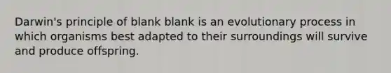 Darwin's principle of blank blank is an evolutionary process in which organisms best adapted to their surroundings will survive and produce offspring.