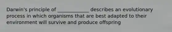 Darwin's principle of _____________ describes an evolutionary process in which organisms that are best adapted to their environment will survive and produce offspring