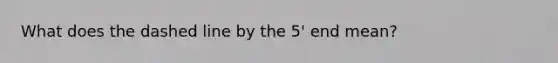 What does the dashed line by the 5' end mean?