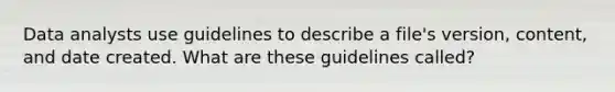 Data analysts use guidelines to describe a file's version, content, and date created. What are these guidelines called?