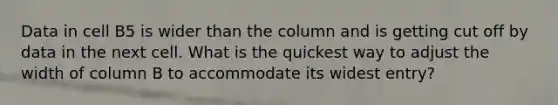 Data in cell B5 is wider than the column and is getting cut off by data in the next cell. What is the quickest way to adjust the width of column B to accommodate its widest entry?