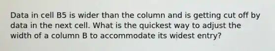 Data in cell B5 is wider than the column and is getting cut off by data in the next cell. What is the quickest way to adjust the width of a column B to accommodate its widest entry?