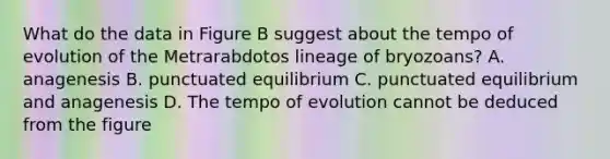 What do the data in Figure B suggest about the tempo of evolution of the Metrarabdotos lineage of bryozoans? A. anagenesis B. punctuated equilibrium C. punctuated equilibrium and anagenesis D. The tempo of evolution cannot be deduced from the figure