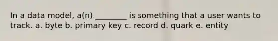 In a data model, a(n) ________ is something that a user wants to track. a. byte b. primary key c. record d. quark e. entity