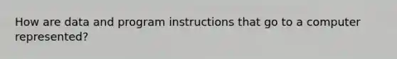 How are data and program instructions that go to a computer represented?