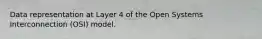 Data representation at Layer 4 of the Open Systems Interconnection (OSI) model.