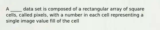 A _____ data set is composed of a rectangular array of square cells, called pixels, with a number in each cell representing a single image value fill of the cell