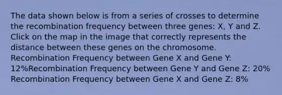 The data shown below is from a series of crosses to determine the recombination frequency between three genes: X, Y and Z. Click on the map in the image that correctly represents the distance between these genes on the chromosome. Recombination Frequency between Gene X and Gene Y: 12%Recombination Frequency between Gene Y and Gene Z: 20% Recombination Frequency between Gene X and Gene Z: 8%