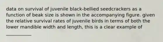 data on survival of juvenile black-bellied seedcrackers as a function of beak size is shown in the accompanying figure. given the relative survival rates of juvenile birds in terms of both the lower mandible width and length, this is a clear example of ___________