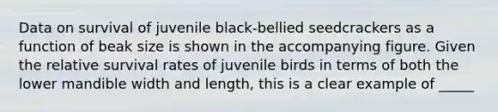 Data on survival of juvenile black-bellied seedcrackers as a function of beak size is shown in the accompanying figure. Given the relative survival rates of juvenile birds in terms of both the lower mandible width and length, this is a clear example of _____