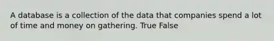 A database is a collection of the data that companies spend a lot of time and money on gathering. True False