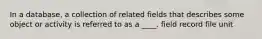 In a database, a collection of related fields that describes some object or activity is referred to as a ____. field record file unit